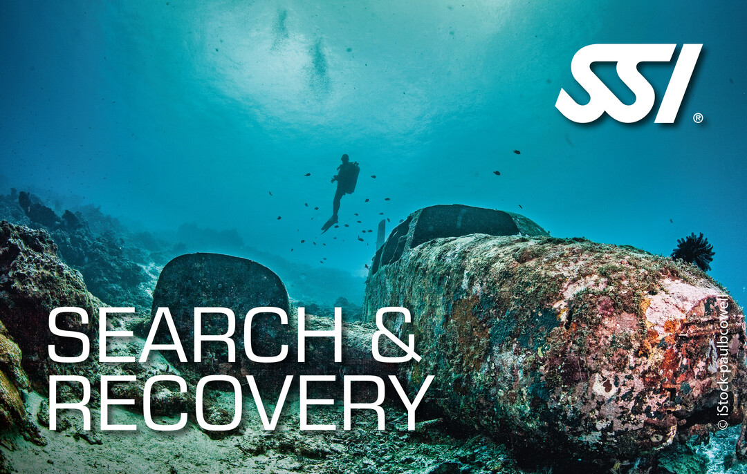 Search and Recovery