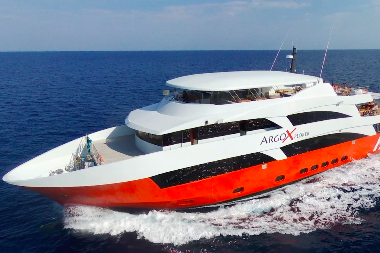Red Sea Dive Safari 2025