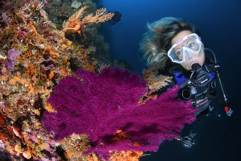 aSSIeme all'Isola d'Elba